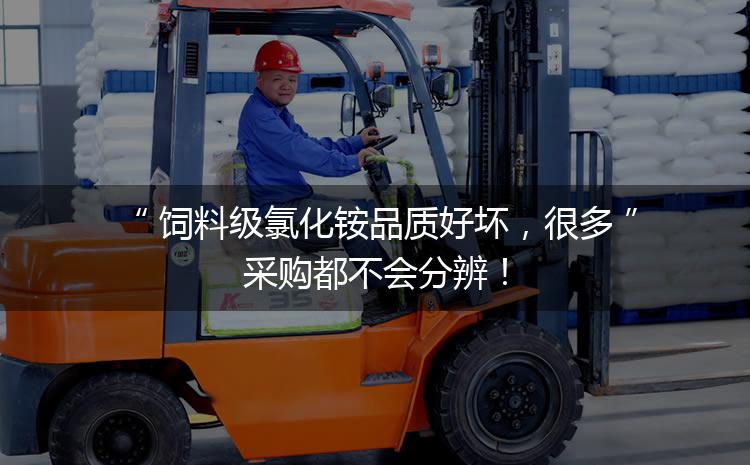飼料級氯化銨品質(zhì)好壞，很多采購都不會分辨！