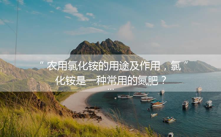 農(nóng)用氯化銨的用途及作用，氯化銨是一種常用的氮肥？