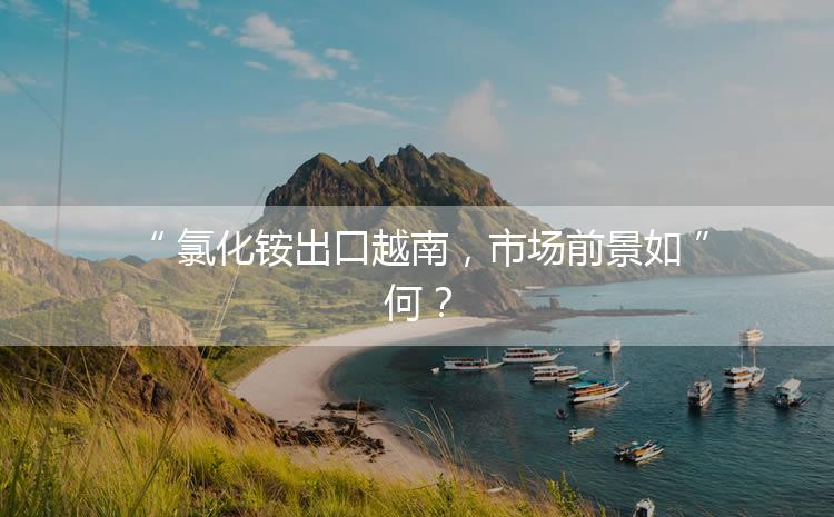 氯化銨出口越南，市場(chǎng)前景如何？